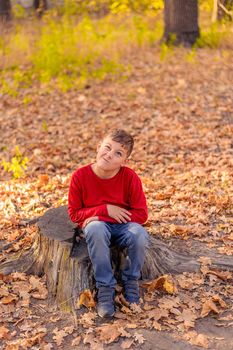 funny boy in a red sweater sitting on a stump in the autumn forest