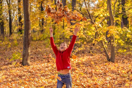 happy child is playing with yellow leaves, throws them up in the autumn forest