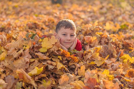 little boy hid in fallen autumn yellow foliage in the park