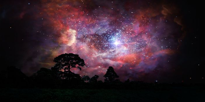 blur ancient stardust nebula back on night cloud sunset sky over silhouette forest, Elements of this image furnished by NASA