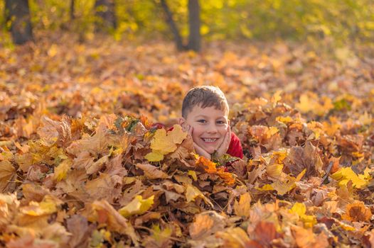 young cheerful guy smiles while lying in yellow autumn fallen foliage in the forest