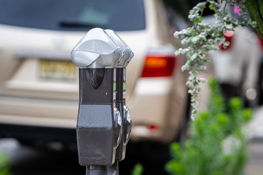 a row of parked cars on the side of the street and a parking payment machine in Princeton, USA