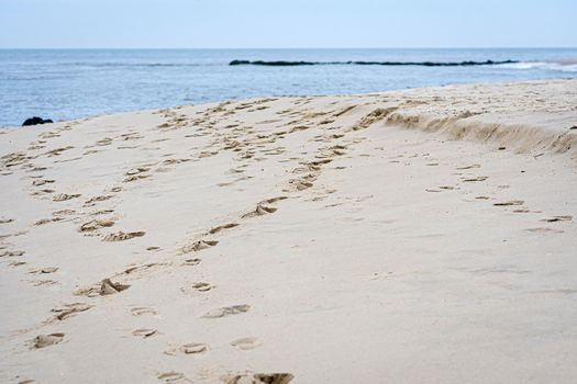 footprints in the sand, Footsteps on the ocean shore