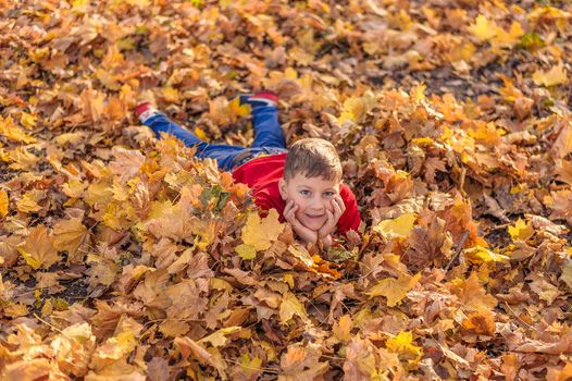 young handsome guy lies on autumn foliage in the park