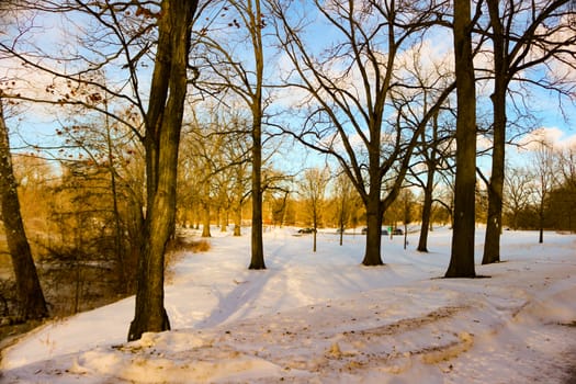 Winter road and snow with landscape of trees with frost