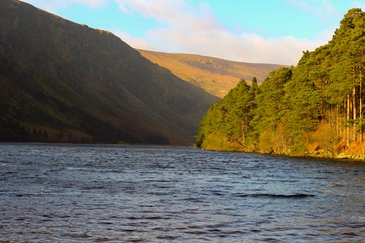 Guinness Lake, Wicklow Mountains, Ireland, Nature, Flowers, Sunny Day, Blue Sky, Sun.