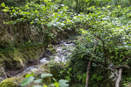 black river that comes from the marmore waterfalls in the middle of nature