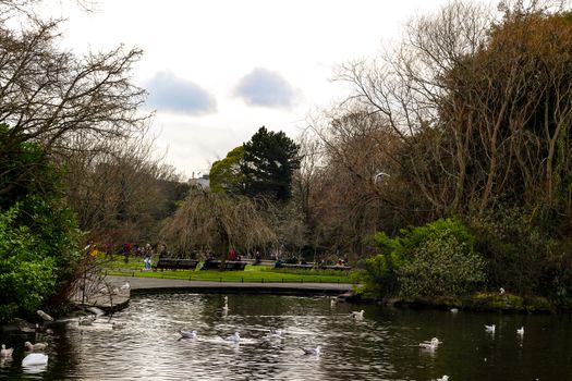 A park in dublin ireland that has lots of gulls on it.