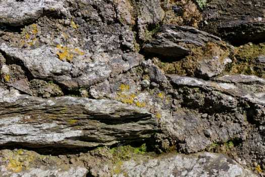 The lichens and moss as background old rock texture.