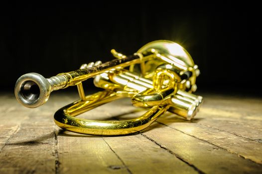 Brass instrument - trumpet on stage with backlight