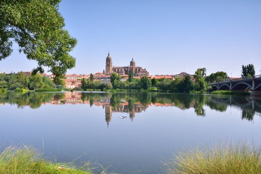 View of the Cathedral of Salamanca from the river Tormes