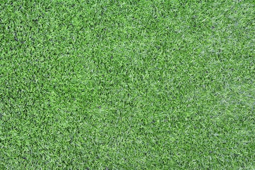 Green grass from above.