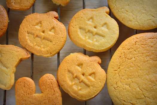 Halloween cookies with pumpkin shape on the kitchen table