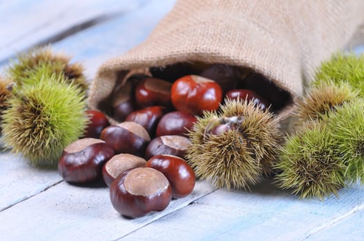 Chestnuts on wooden table in the kitchen.