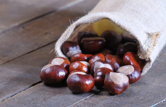 Chestnuts on wooden table in the kitchen.