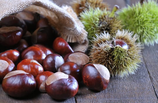 Chestnuts on wooden table in the kitchen.