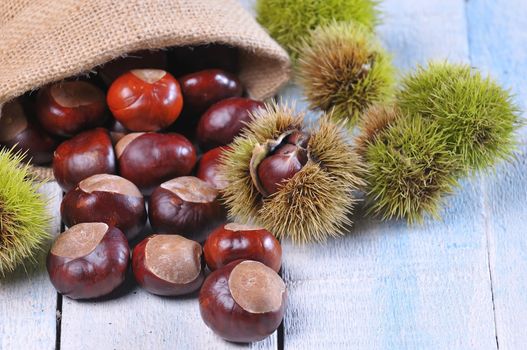Chestnuts on wooden table in the kitchen.