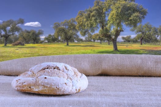 Bread on the table of the bakery.