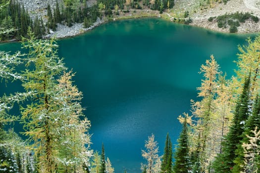 Lake Agnes emerald waters framed with autumn larches covered with snow, Banff National Park, Alberta, Canada