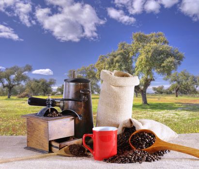 Bag of coffee beans on the table.