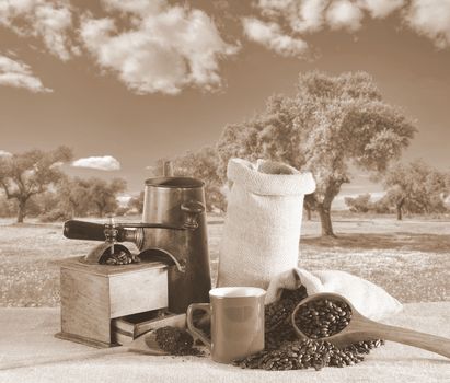 Bag of coffee beans on the table.