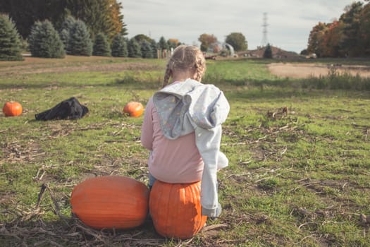 little girl in a pumpkin patch in Canada