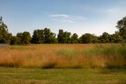 Landscape photo taken in Ontario Canada