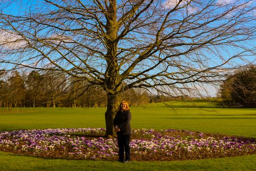 Women next to a tree with plenty of blooming crocus flowers, a park in Kilkenny Ireland.