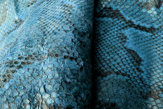 Coloured Real Snake Skin Snakeskin Animal Print Background