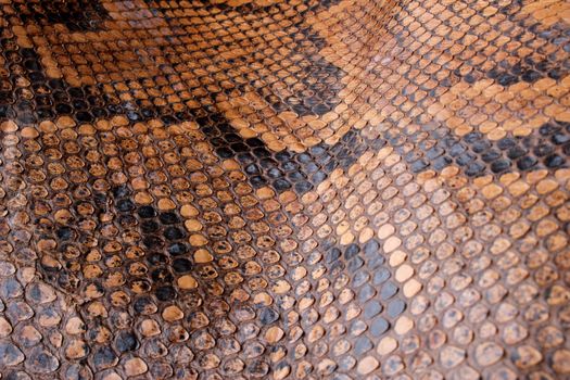 Coloured Real Snake Skin Snakeskin Animal Print Background