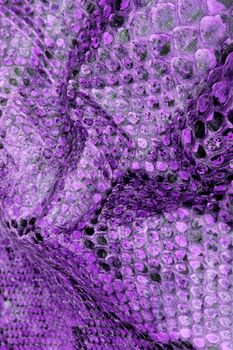 Coloured Real Snake Skin Snakeskin Animal Print Background