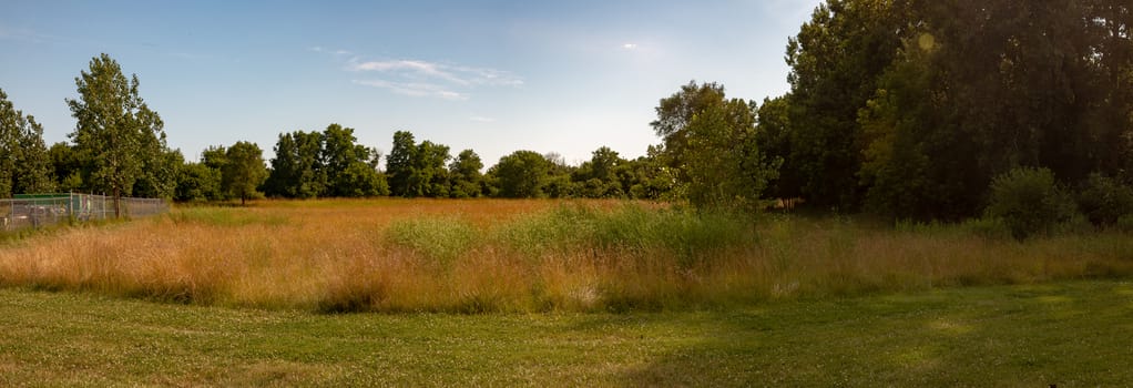 Panoramic view of field with haystacks near the forest under blue sky with white clouds under sunlight.