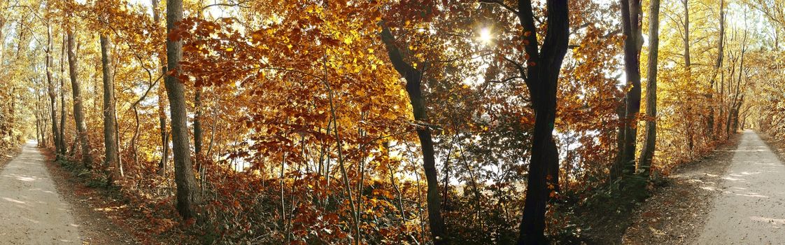 Beautiful panorama view on a golden autumn landscape in the middle of october