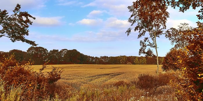 Beautiful panorama view on a golden autumn landscape in the middle of october