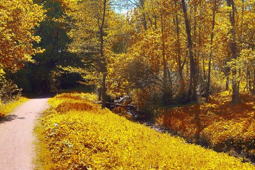 Beautiful panorama view on a golden autumn landscape in the middle of october