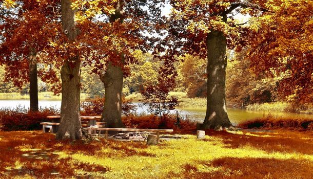 Beautiful panorama view on a golden autumn landscape in the middle of october