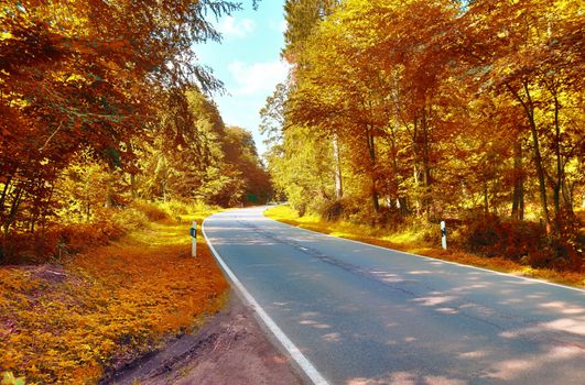 Beautiful panorama view on a golden autumn landscape in the middle of october