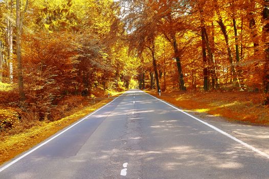 Beautiful panorama view on a golden autumn landscape in the middle of october