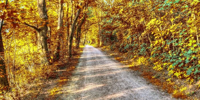 Beautiful panorama view on a golden autumn landscape in the middle of october