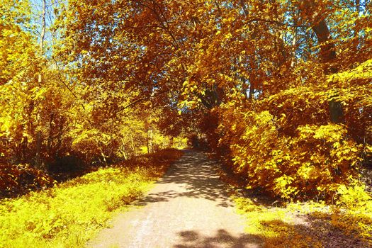 Beautiful panorama view on a golden autumn landscape in the middle of october