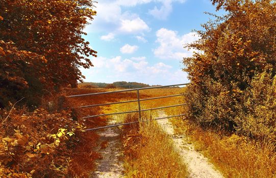 Beautiful panorama view on a golden autumn landscape in the middle of october