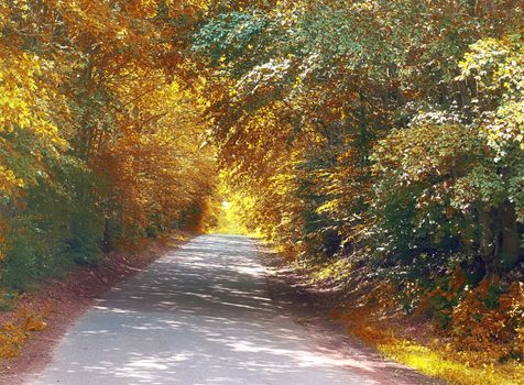 Beautiful panorama view on a golden autumn landscape in the middle of october