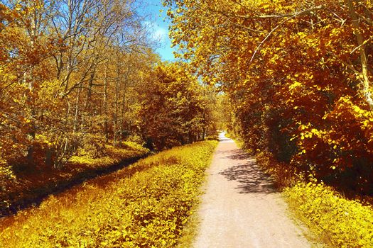 Beautiful panorama view on a golden autumn landscape in the middle of october