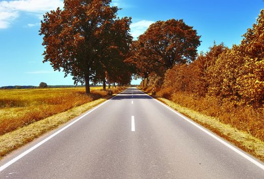 Beautiful panorama view on a golden autumn landscape in the middle of october