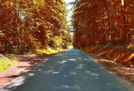 Beautiful panorama view on a golden autumn landscape in the middle of october