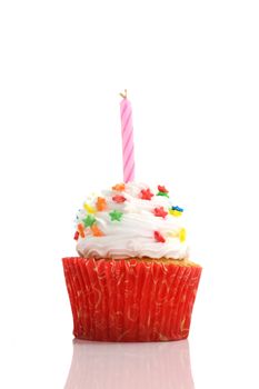 cupcake isolated in white background