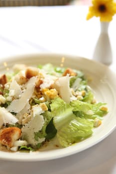 Caesar salad in close up