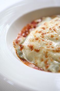 Meat and Cheese Lasagna 