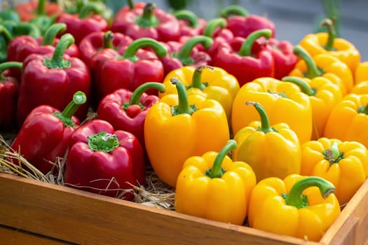 Yellow and Red peppers in wooden boxes.