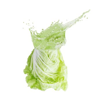 fresh chinese cabbage and juice splashing isolated on a white background.